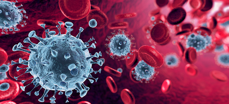 Corona Virus In Red Artery - Microbiology And Virology Concept -